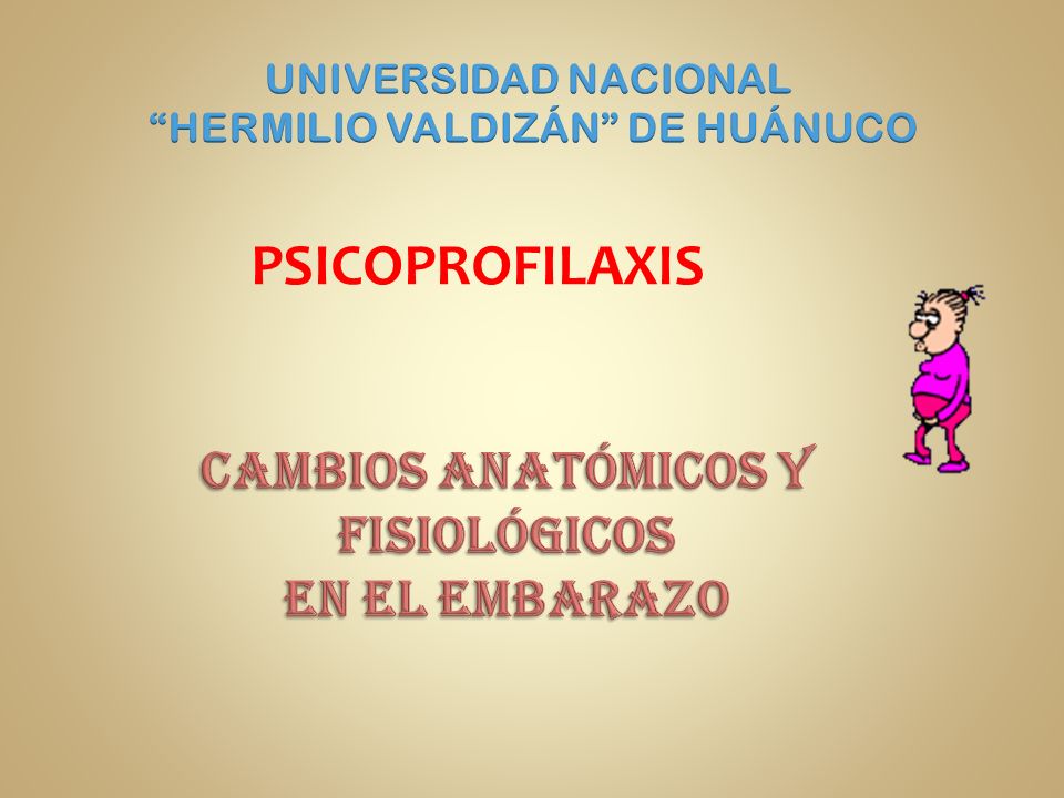 Cambios anatomicos y fisiologicos en el embarazo por trimestre